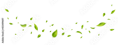 Green flying leaves on long white banner. Leaf falling. Wave foliage ornament. Vegan, eco, organic design element. Cosmetic pattern border. Fresh tea background. Beauty product. Vector illustration