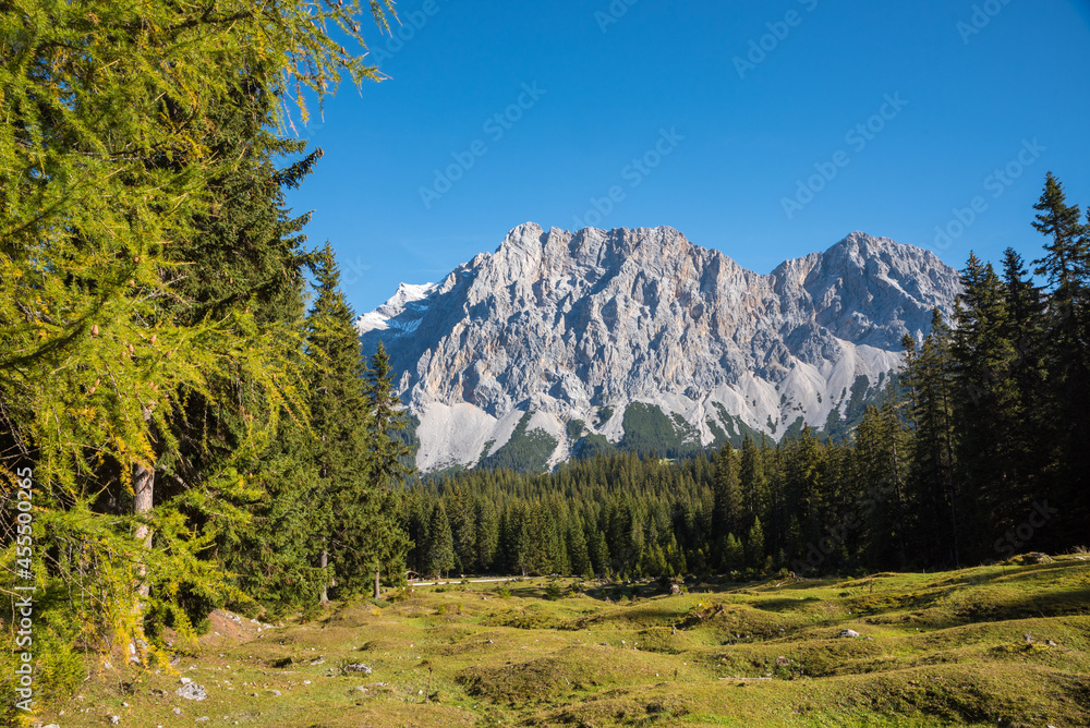 austrian side of famous Zugspitze mountain, view from Ehrwald, green pasture