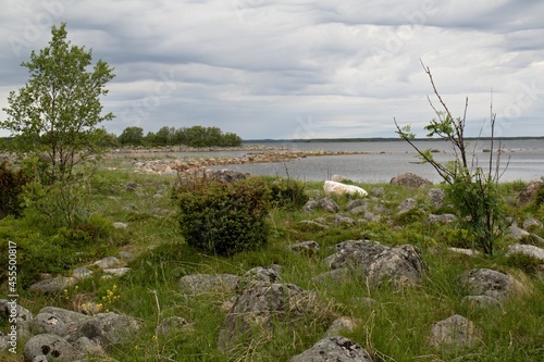 View of Bolshaya Muksalma Island and White Sea.Solovetsky Islands. Russia.