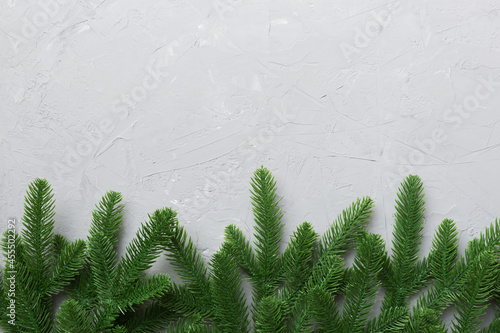 Christmas holiday background with copy space for advertising text. Fir branches on color background . Flat lay  top view