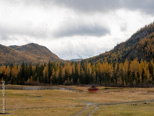 Autumn view of the snow-capped mountains of Altai and a dense forest near the village of Aktash. Chuysky tract, Altai Republic, Russia