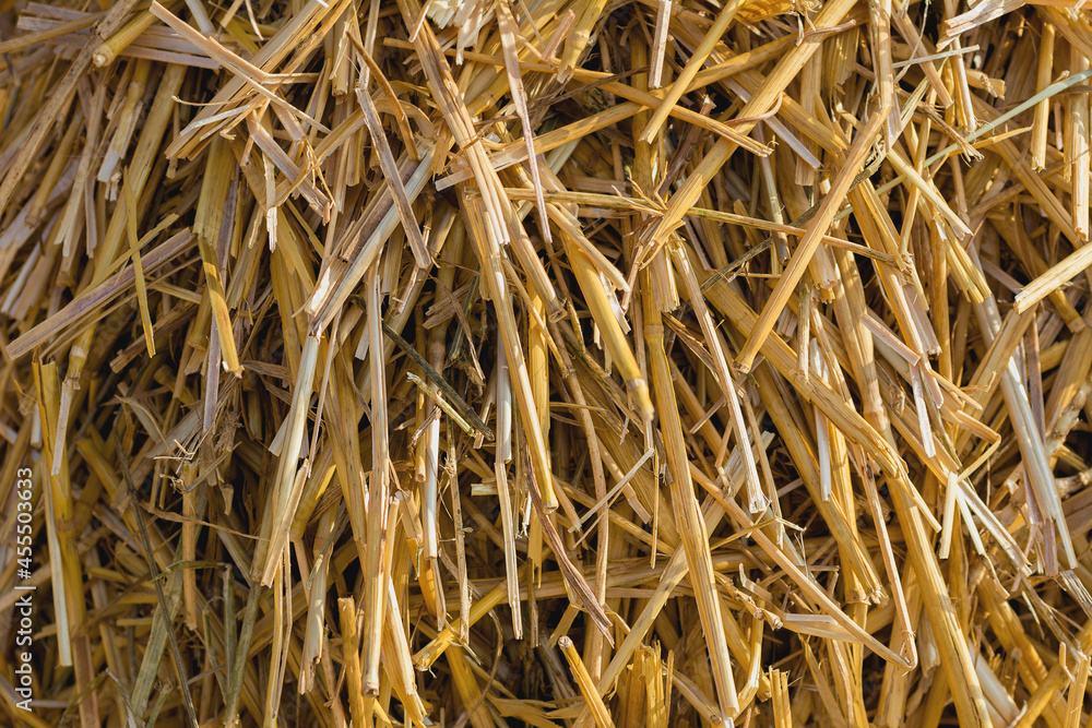 background texture of straw light yellow background texture of straw light yellow