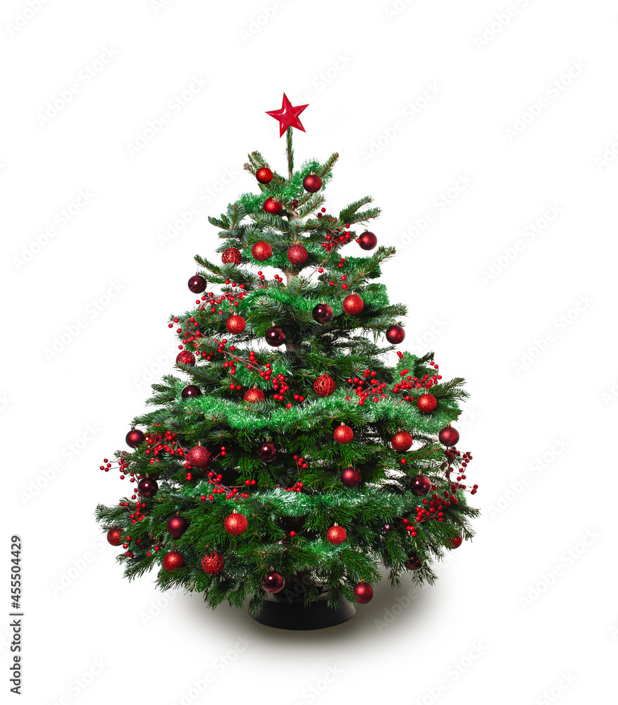 Beautiful,real,decorated christmas tree against white studio background,isolated. Beautiful,real,decorated christmas tree against white studio background,isolated.
