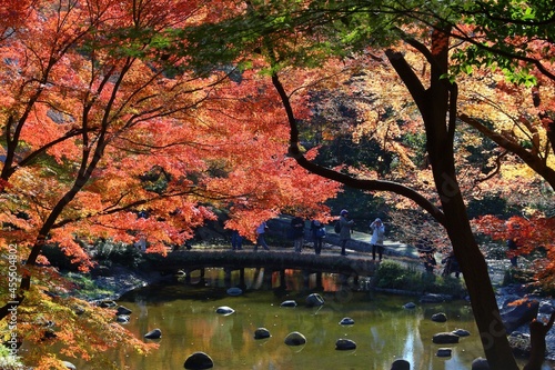 Autumn colors in Tokyo, Japan photo