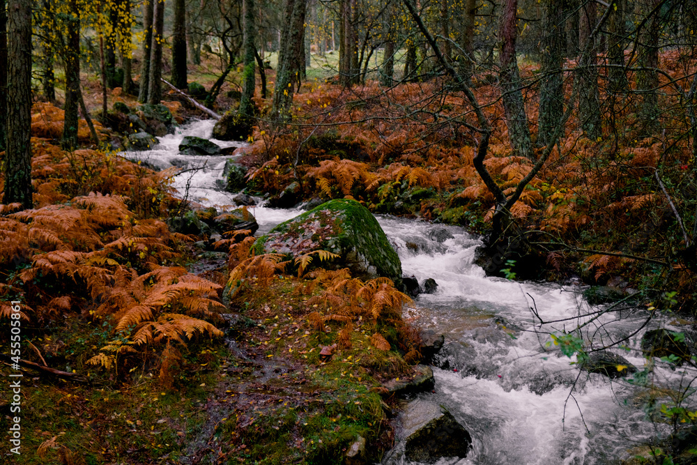 waterfall in autumn