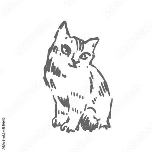 The cat. Hand drawn vector drawing. Graphic ink style. Animal character.