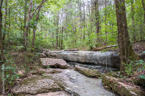 Forest and Limestone Outcropping at Cheeks Bend Wildlife Management Unit, Maury County, Tennessee, USA 