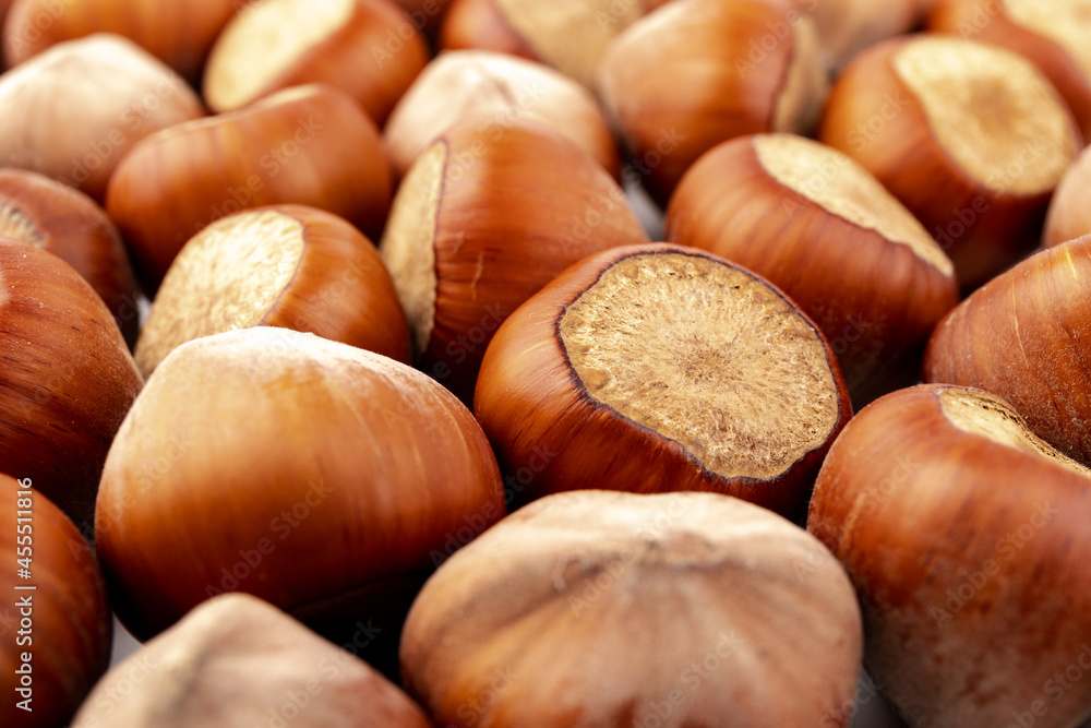 Group of hazelnuts, isolated on white background Group of hazelnuts, isolated on white background