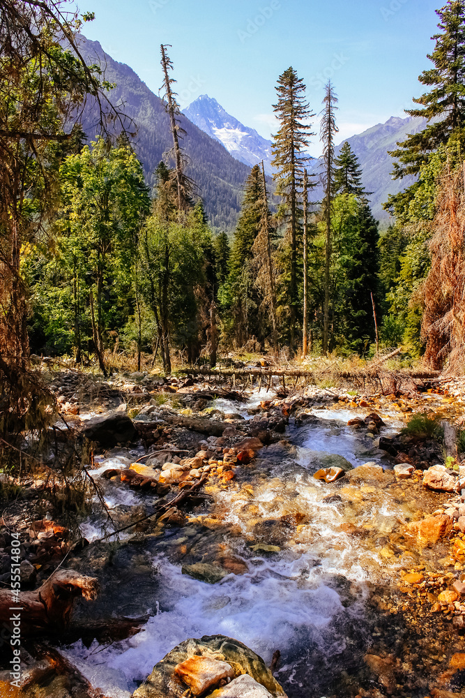 landscape in the mountains