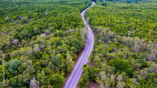 Aerial view Mangrove forest and road through the forest. © thexfilephoto