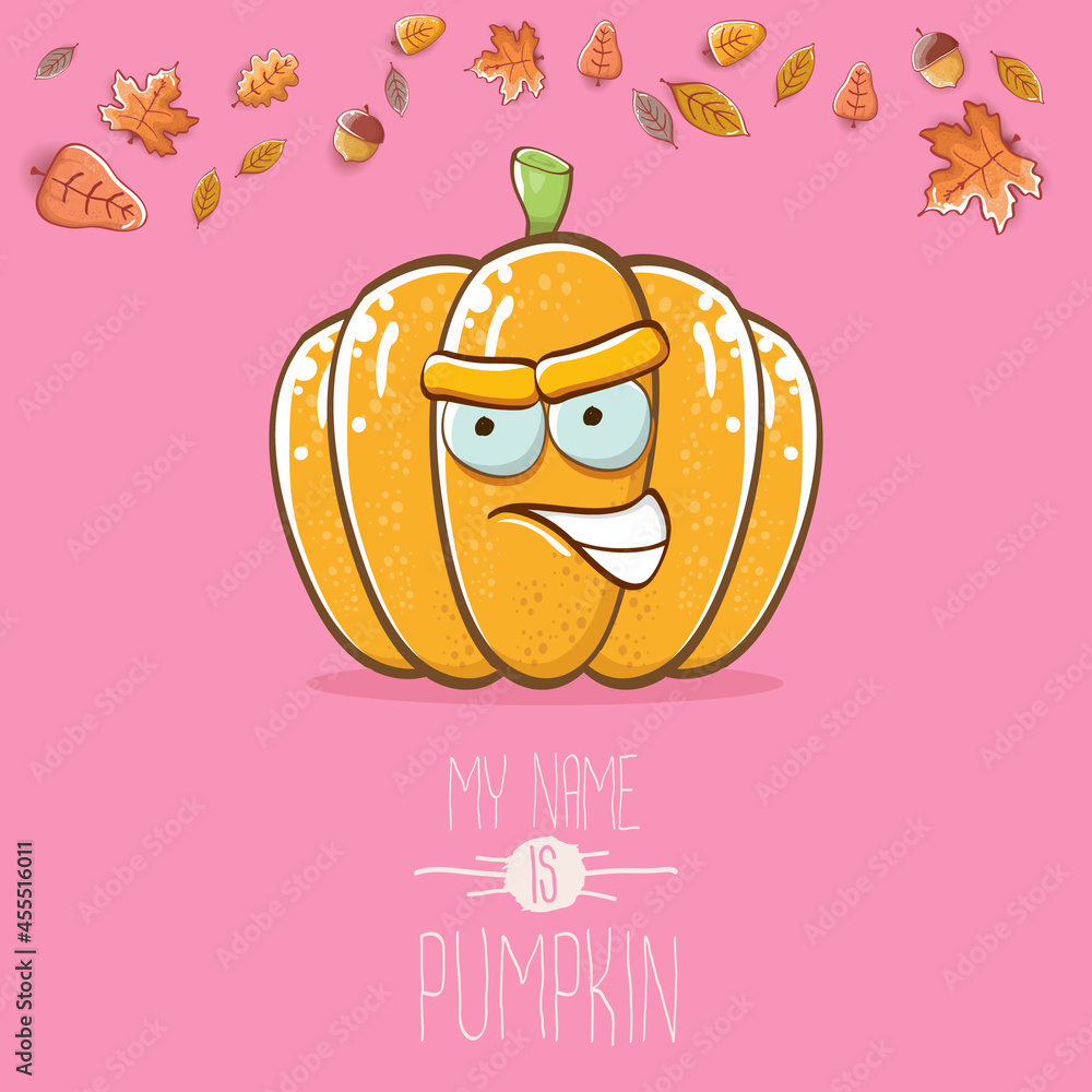 vector funny cartoon cute orange smiling pumkin isolated on pink background. My name is pumkin vector concept illustration. vegetable funky halloween or thanksgiving day character vector funny cartoon cute orange smiling pumkin isolated on pink background. My name is pumkin vector concept illustration. vegetable funky halloween or thanksgiving day character