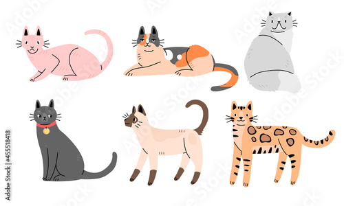 Set of cute cats of different breeds in flat cartoon style. Collection of characters of cats. Vector illustration.
