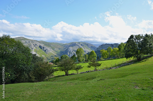 Green Cantabria, NorthernSpain. photo