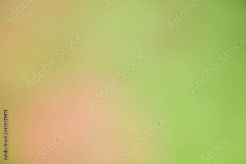 World environment day concept: Abstract blurred green colorful nature wallpaper background for banner, header website, present background, poster