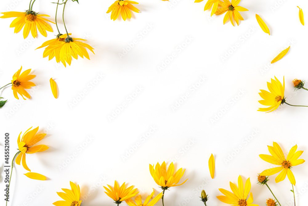 Flowers border composition. Yellow flowers on white background. Spring, summer, autumn concept. Fall shopping, promotion, discount, sale. Flat lay, top view, copy space. Flowers border composition. Yellow flowers on white background. Spring, summer, autumn concept. Fall shopping, promotion, discount, sale. Flat lay, top view, copy space.