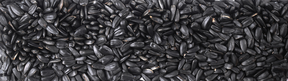 Black sunflower seeds close up background - obrazy, fototapety, plakaty 