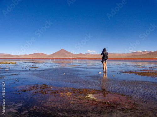 Uyuni Salt Flats, Red Lake (Laguna Colorada)