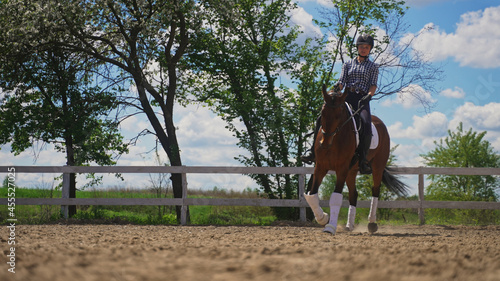 a young girl with a helmet on her head is galloping upright on a brown horse near a tree. High-quality photo