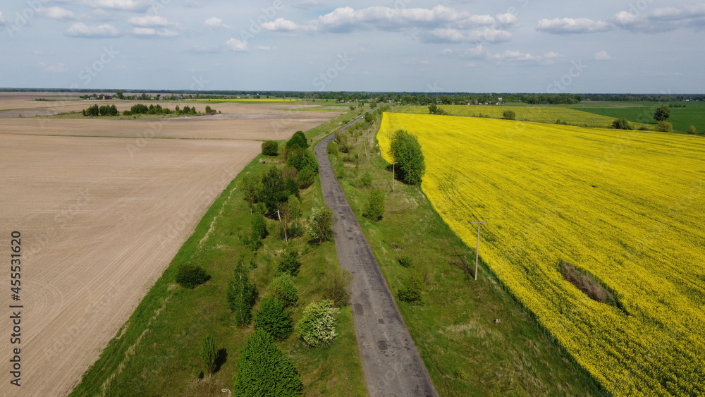 Naklejka premium Scenic farm fields under blue skies. Rape crops. Country road among the fields.