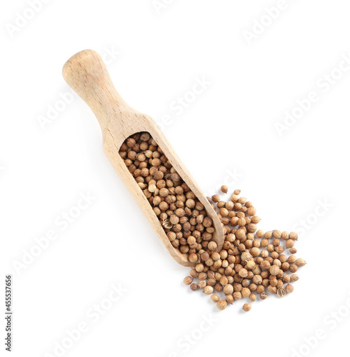 Dried coriander seeds with wooden scoop on white background, top view