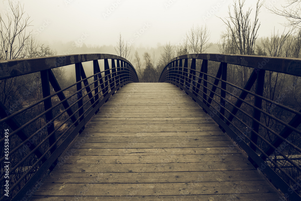 Wooden footpath bridge with mist and fog in a wood in winter. Canada.