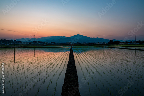 日本の田園風景