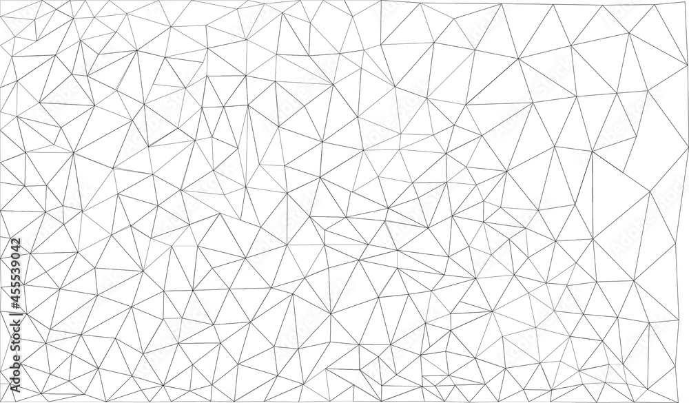 This is an image of low poly triangle geometric line drawing background.