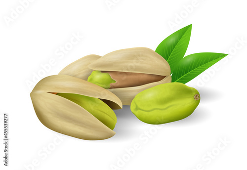Pistachios nuts with green leaves. Nuts and seeds collection. Realistic design vector illustration