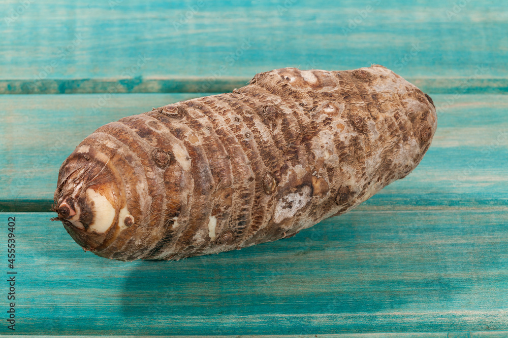Malanga Edible Tuber - Root Of The Plant Called Colocasia Esculenta Malanga Edible Tuber - Root Of The Plant Called Colocasia Esculenta