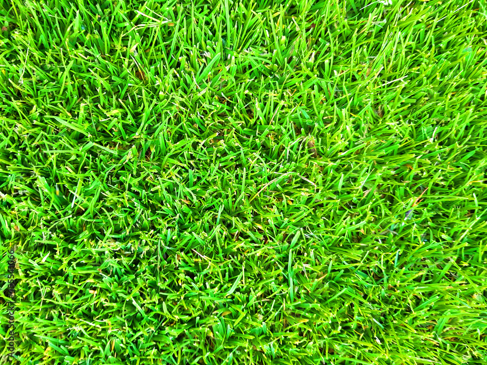 Green grass soccer background. Green grass soccer background.