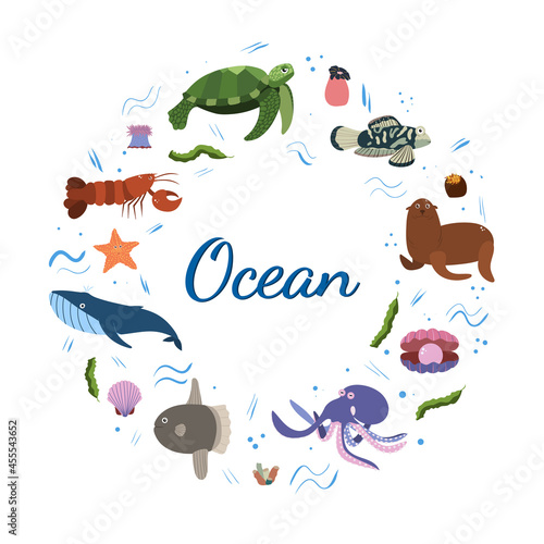 Design template with sea animal in circle for kid print. Round composition of marine animals, turtle and whale, octopus, fur seal. Vector set of underwater life in cartoon style.