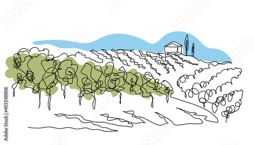 Vineyard field simple vector sketch illustration. One continuous line art drawing of landscape with growing grape. Vineyard farm minimalist color design for wine label