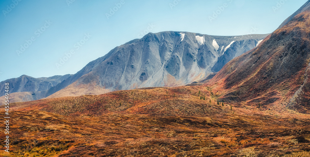 Atmospheric autumn mountain landscape. Panoramic landscape with the big mountains in a light fog. Altai Mountains.
