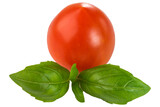 Tomato and green basil leaves