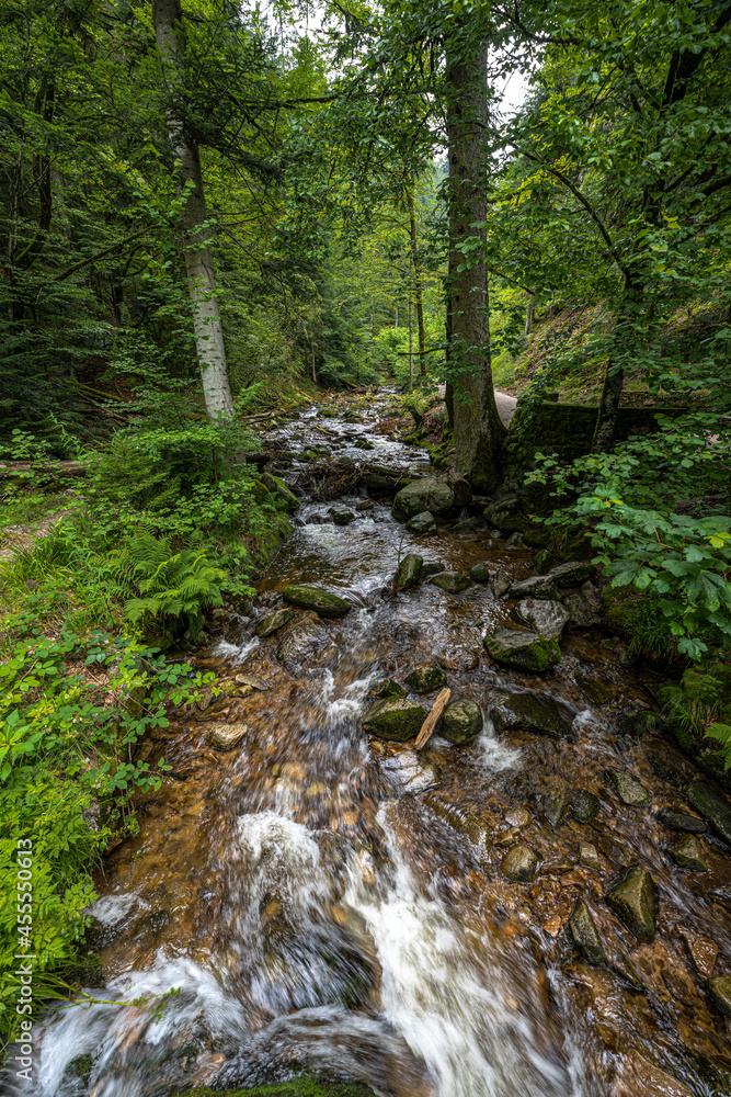 Fototapeta premium Lierbach in the Black Forest, Germany