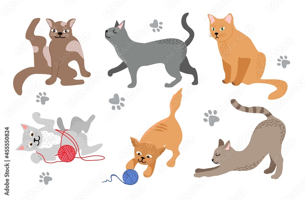 Cute Cats Pets or Kittens Playing or Posing Vector Flat Icons