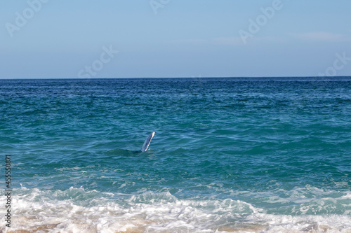 surfing the waves