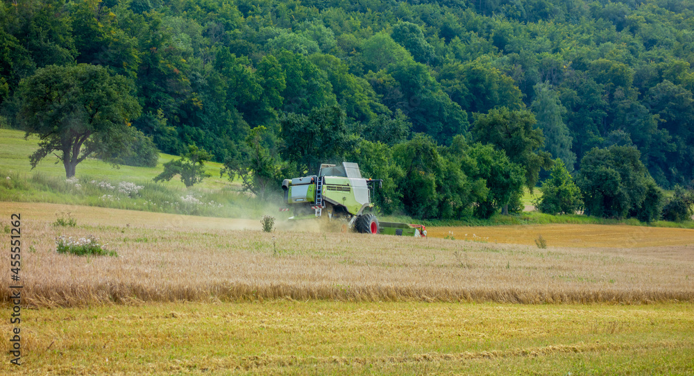 Fototapeta premium combine harvester