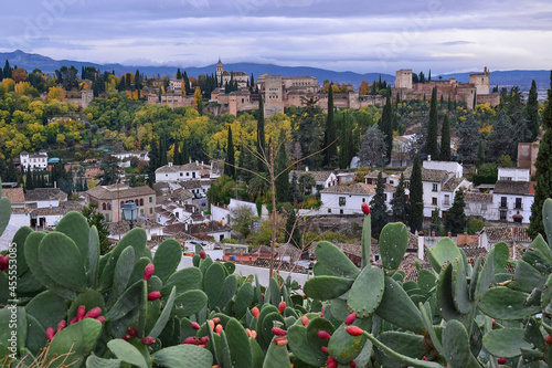 image taken from a viewpoint near San Miguel Alto landscape of the Alhambra on a cloudy autumn day, the forest with green and yellow leafy trees, Albaicín houses and prickly pears in the foreground photo