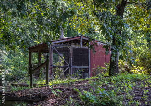 Abandoned chicken coop