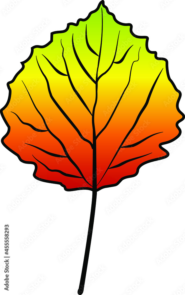 Obraz premium linden leaf vector colour autumn