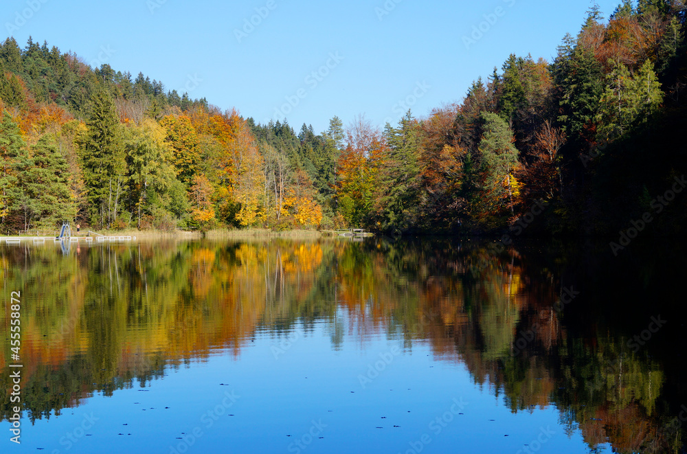 sunny day by the colorful autumnal lake Alatsee in Bavaria (Germany)