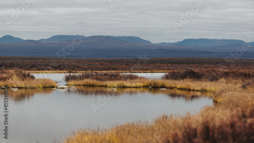 Autumn time in Alaska by a lake in western alaska near canada looking really wilderness and wild