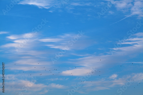 Photography Blue sky with clouds and birds