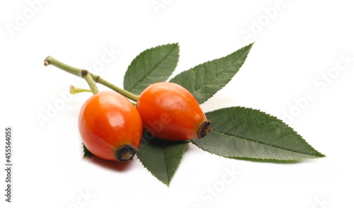 Red dog rose hips on twig with leaves isolated on white background