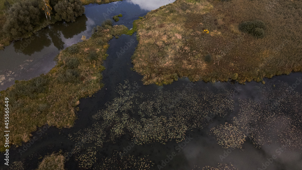 Park area. A winding river with water lilies. Swampy area. Aerial photography.