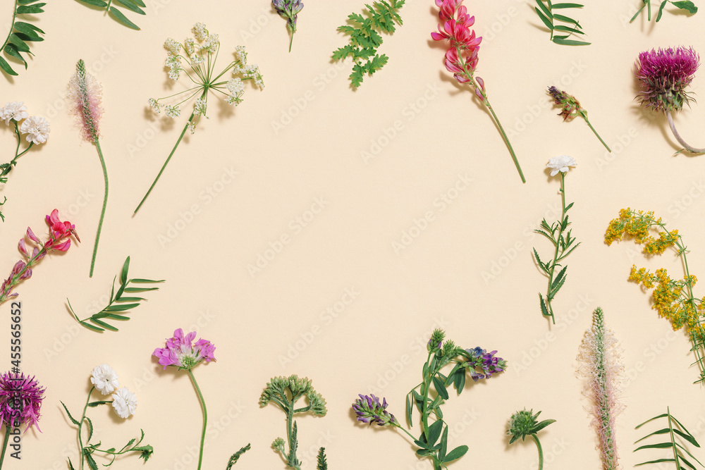 Frame from natural summer wildflowers, meadow herbs and field bloom plants, green grass, small wild blossom, forest thistle flower, fern