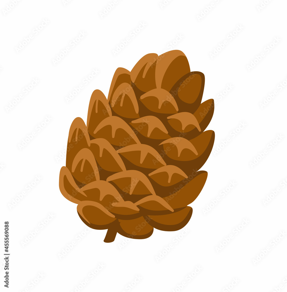 Cedar cone cartoon illustration. Single simple vector hand-drawn isolated icon. Cedar cone cartoon illustration. Single simple vector hand-drawn isolated icon.