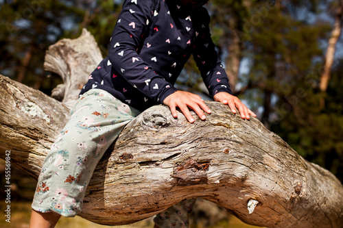 Touch and feel nature. Child climbs on wood near the water. Child plays in nature. Natur fühlen und spüren. Kind klettert auf Holz nahe am Wasser. Kind spielt in der Natur.