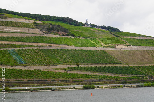 Das Niederwalddenkmal mit Weinreben in Rüdesheim am Rhein im Rheingau in Hessen mit dem Fluss Rhein im Vordergrund photo